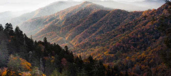A Land Full of Possibilities – Cultural Exchange in the USA
