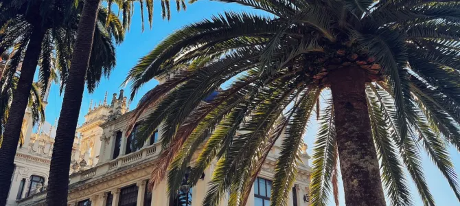 Stepping Out of Your Comfort Zone Is Worth It – Cultural Exchange in Spain