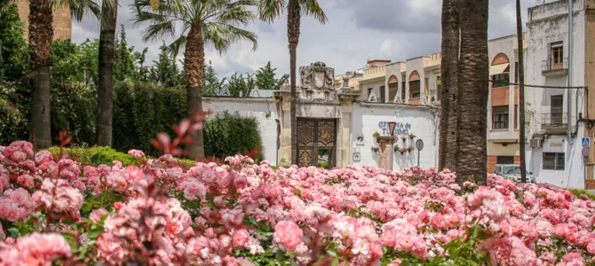 Finding Friends for Life – Cultural Exchange in Spain